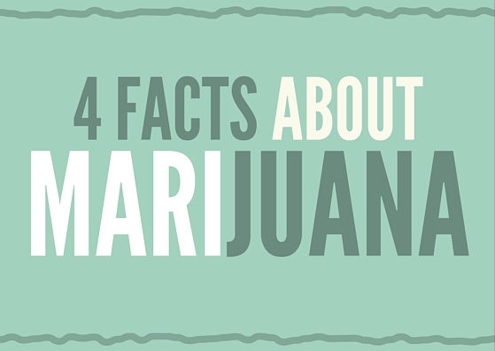 4 Interesting Facts About Marijuana in the US