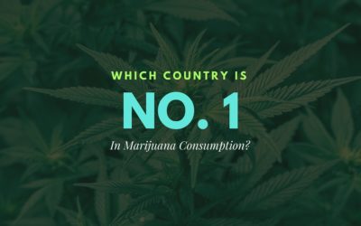 Is Iceland Really The No. 1 Consumer of Cannabis?
