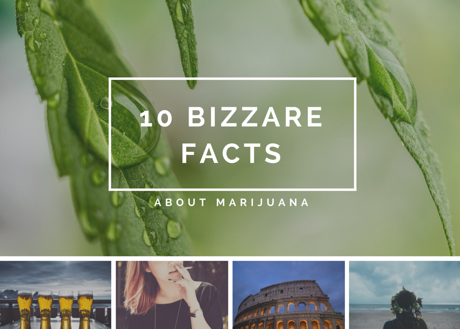 10 Facts About Marijuana You Never Knew